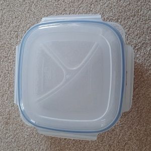 Lock & Lock Divided Plate Container